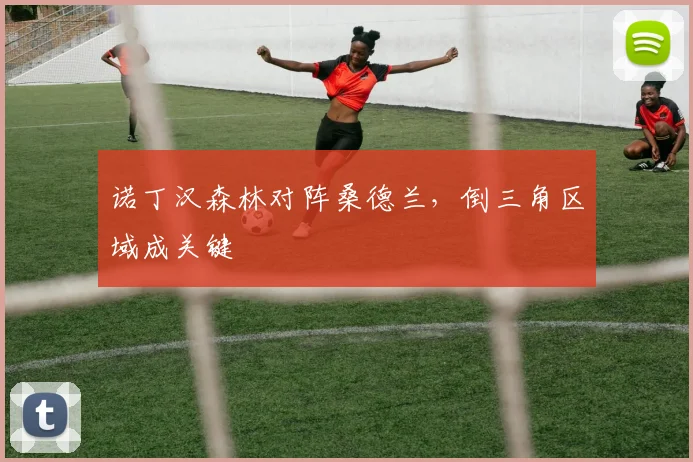 诺丁汉森林对阵桑德兰,倒三角区域成关键